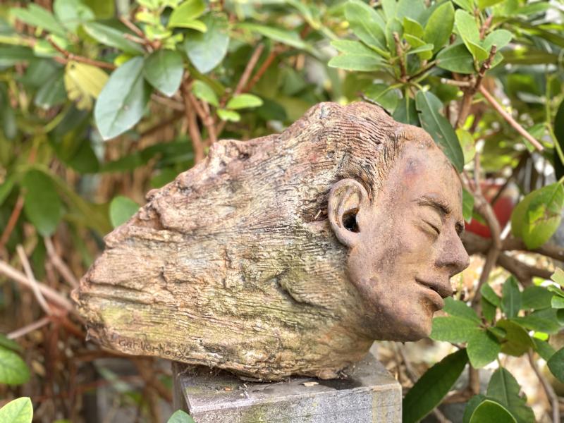 Hoofdfoto Wederom rust de dichter in het woud