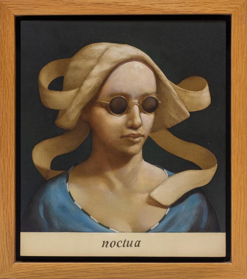 Hoofdfoto Noctua