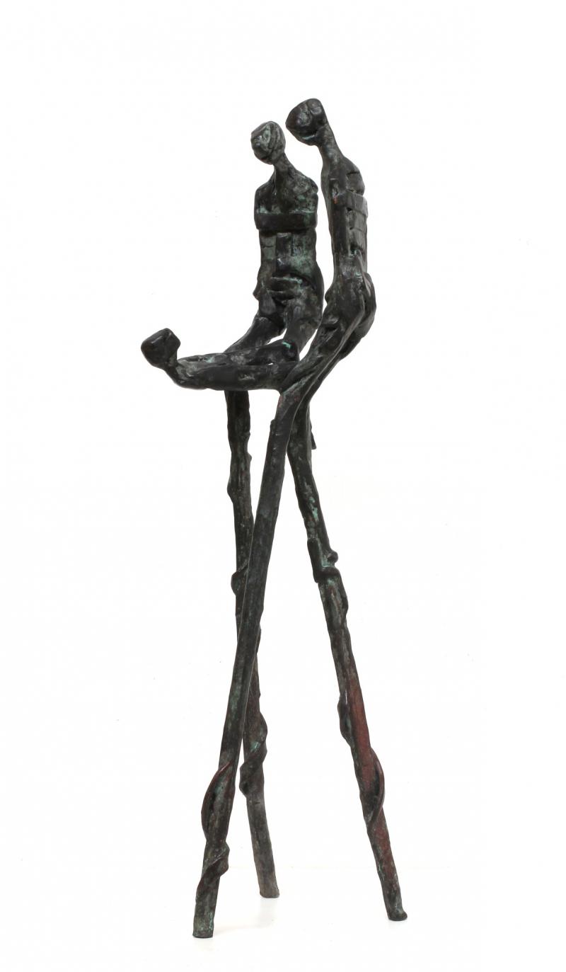 Hoofdfoto Het zwanenmeer