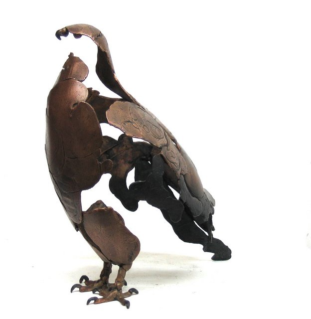 Hoofdfoto Ruigpoot Buizerd  (182)