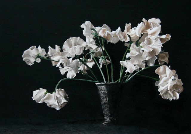 Hoofdfoto Witte lathyrus