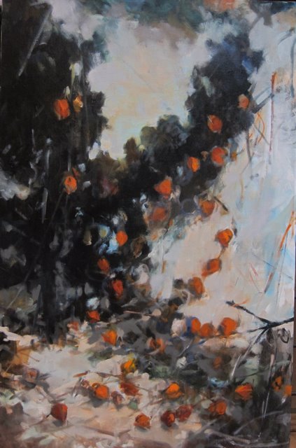 Hoofdfoto Les physalis