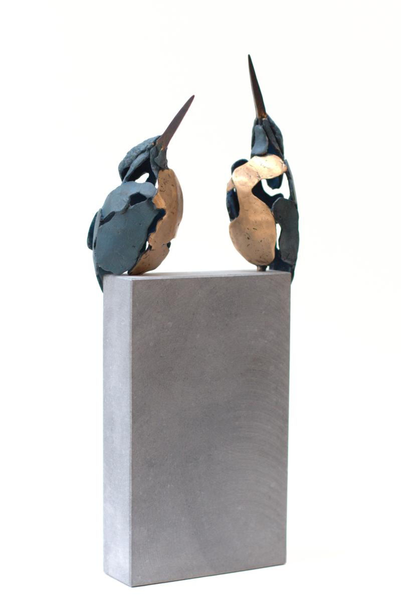 Hoofdfoto IJsvogel 3 en 4