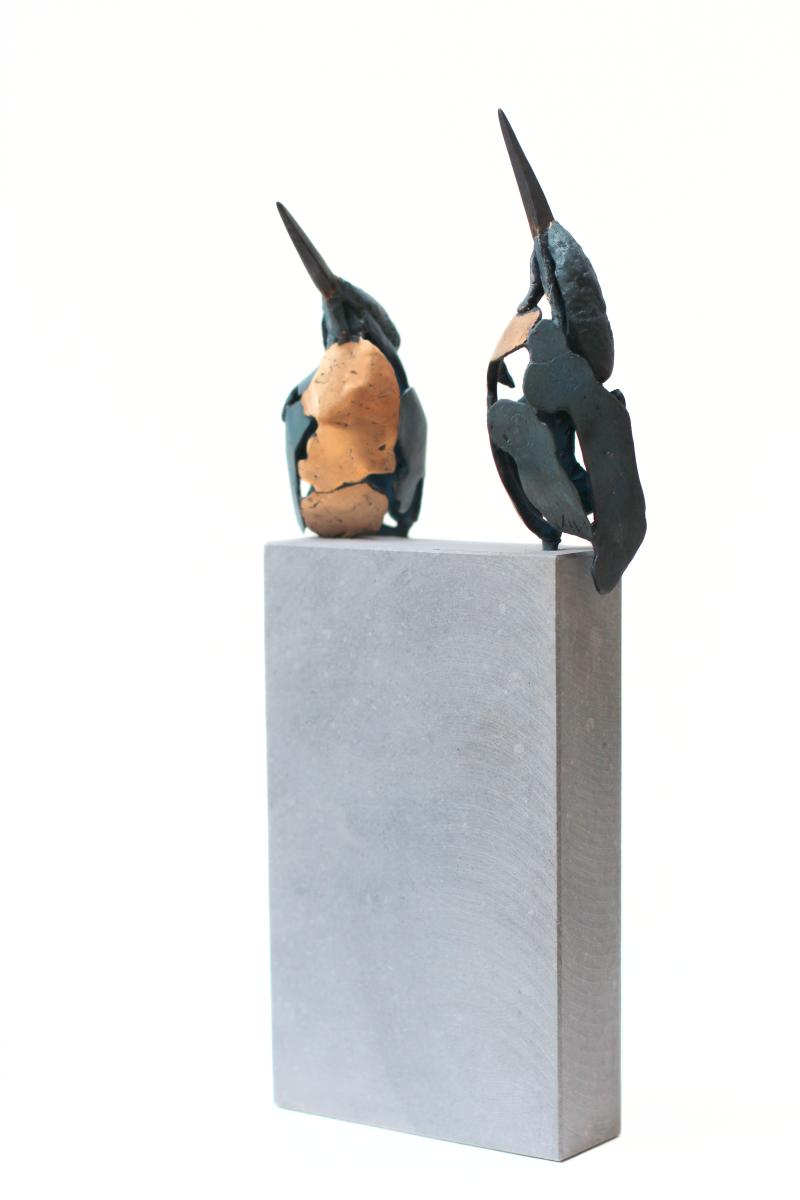 Foto 2 van IJsvogel 3 en 4