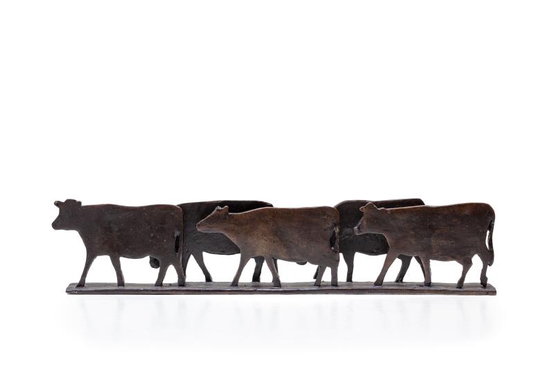 Hoofdfoto 5 koeien (plat)