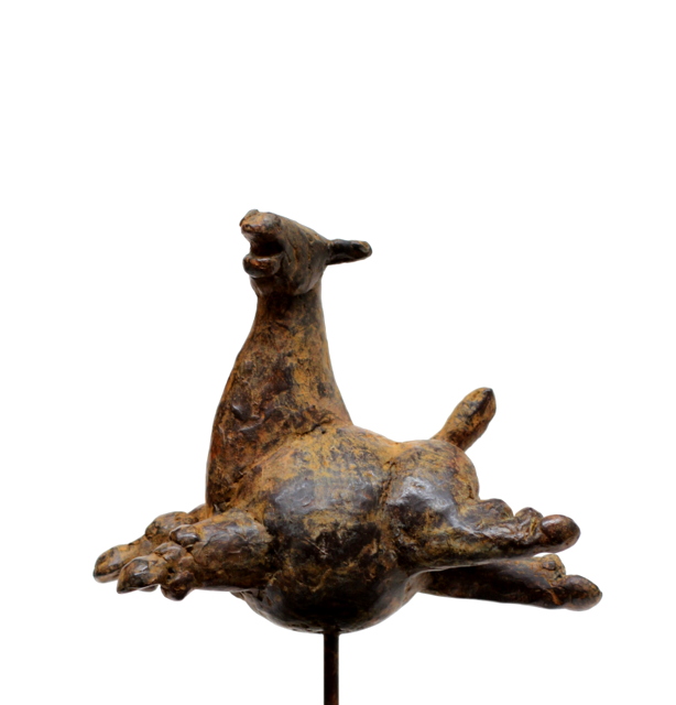 Hoofdfoto Pim springt (middel)