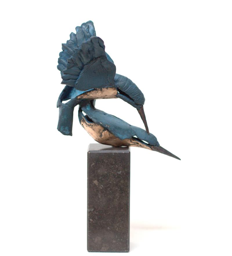 Hoofdfoto Parende ijsvogels