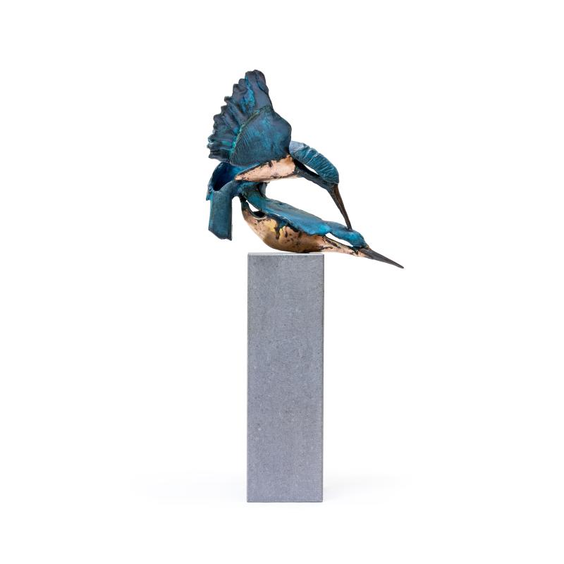 Foto 4 van Parende ijsvogels