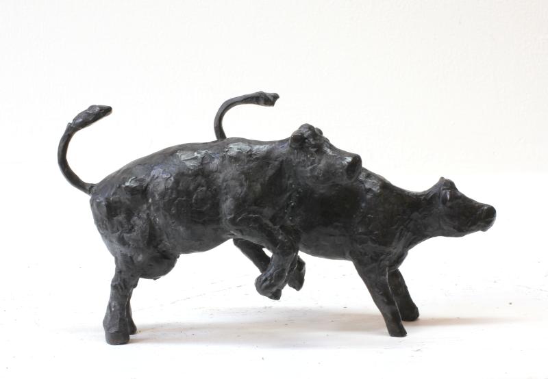 Hoofdfoto 2 kleine dansende koeien