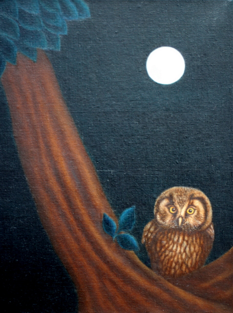 Hoofdfoto Wondering in the moonlight