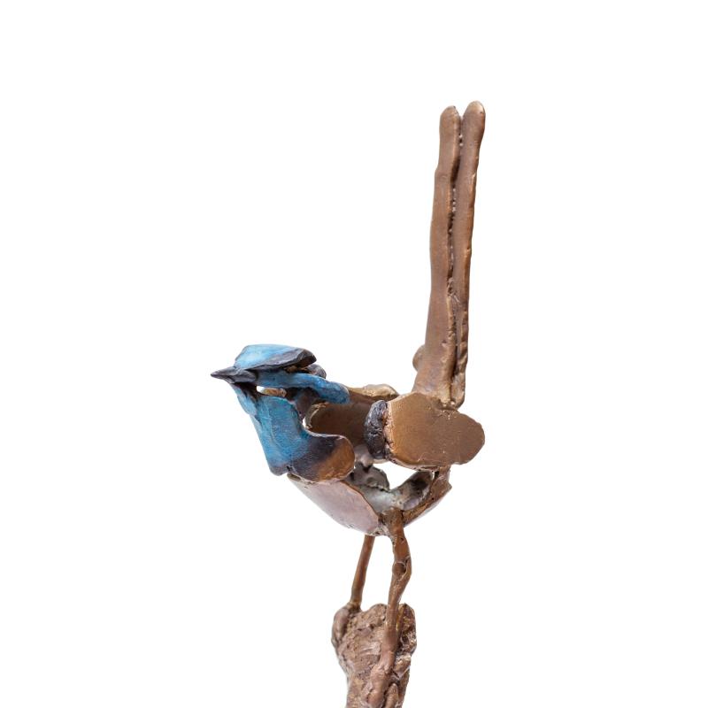 Foto 3 van Prachtelfje