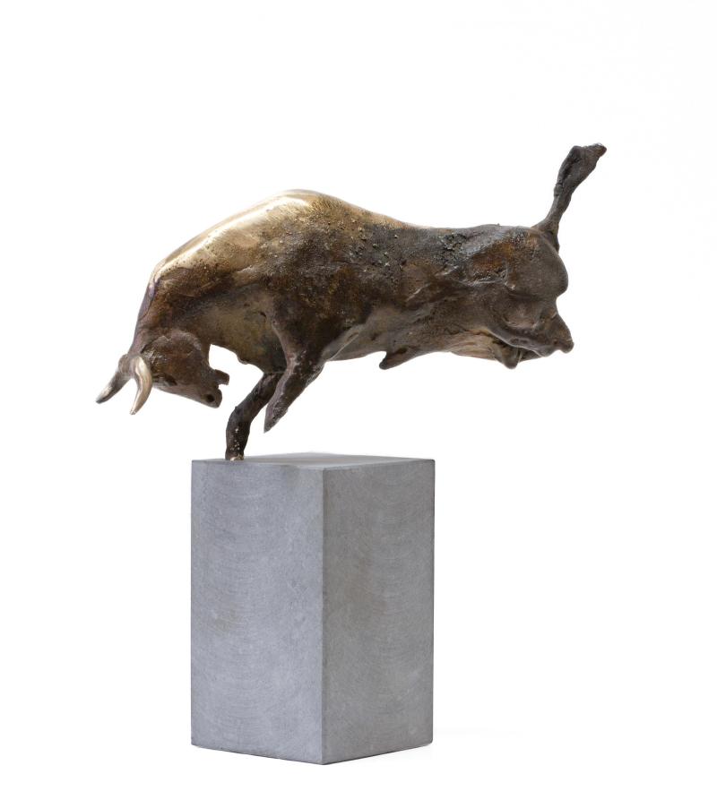 Hoofdfoto El Toro de Oro