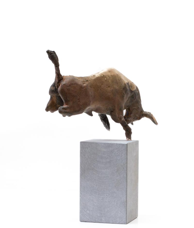Foto 2 van El Toro de Oro