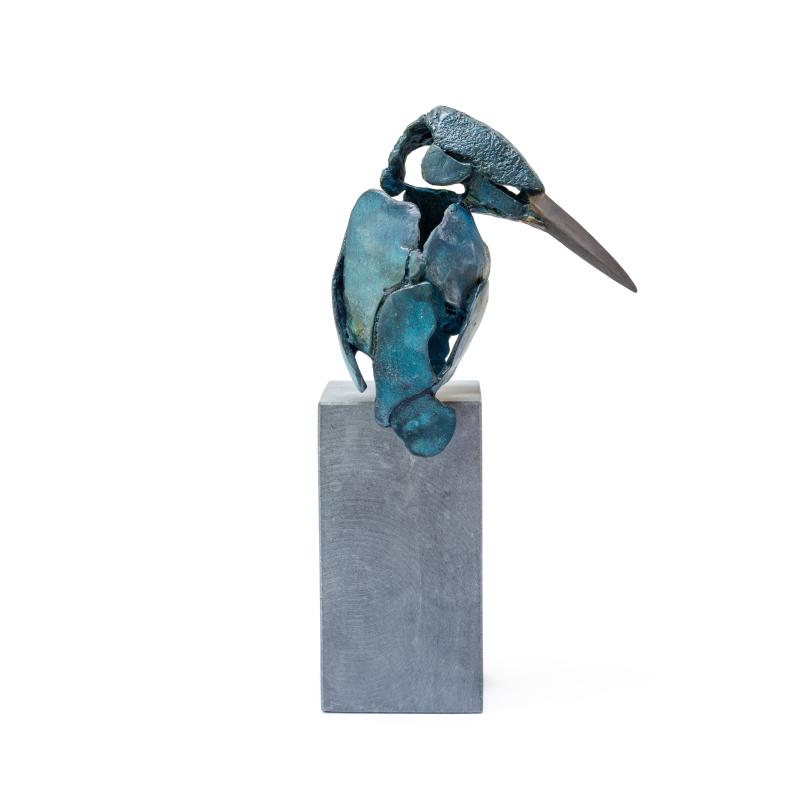 Foto 2 van IJsvogel 5