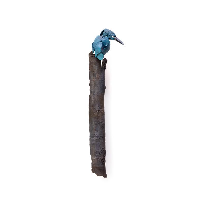 Hoofdfoto IJsvogel 5 op schors