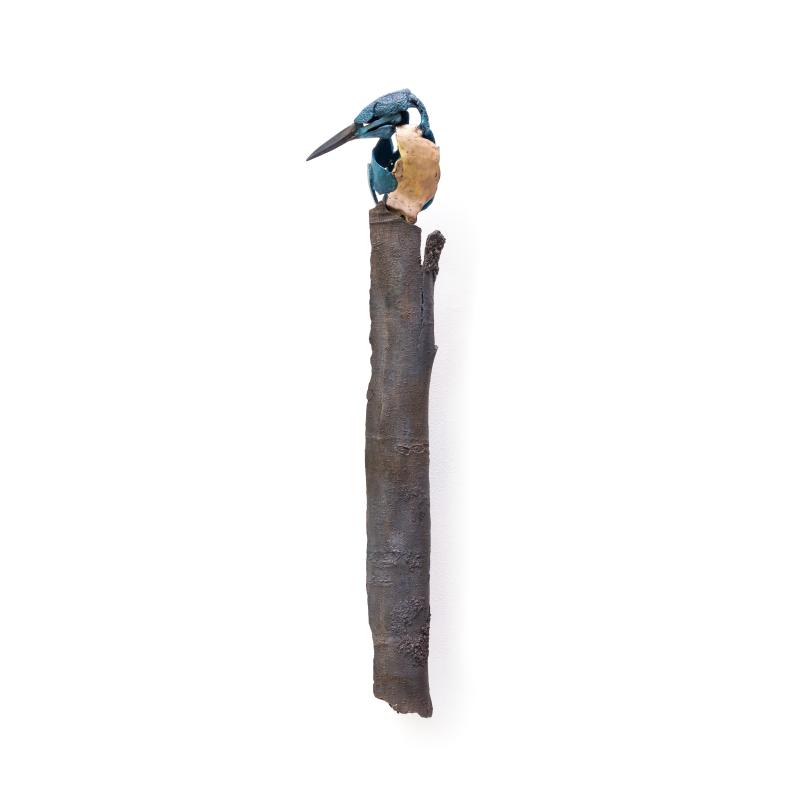 Foto 2 van IJsvogel 5 op schors