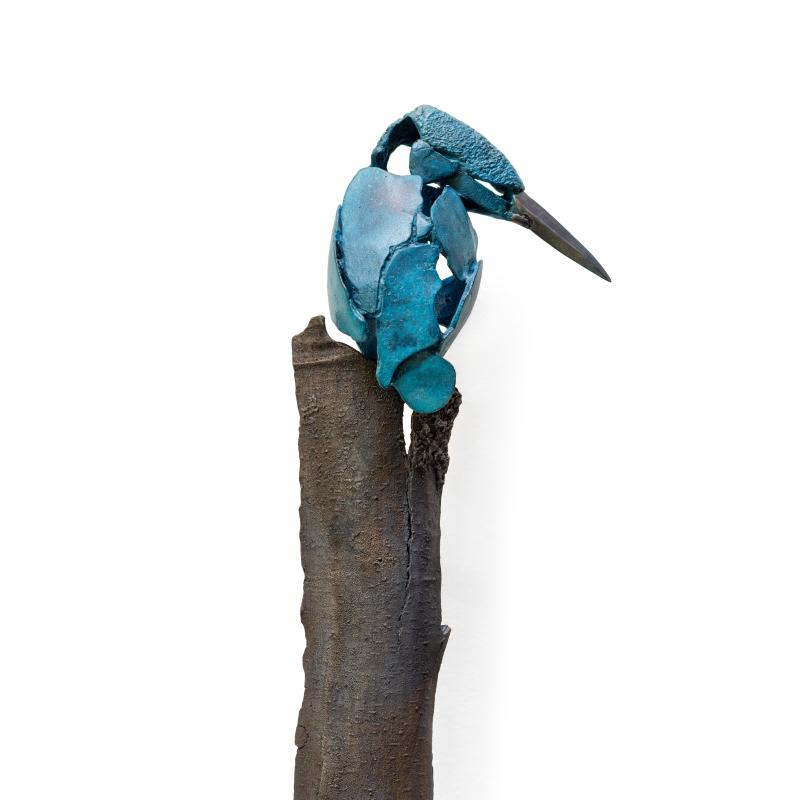 Foto 3 van IJsvogel 5 op schors