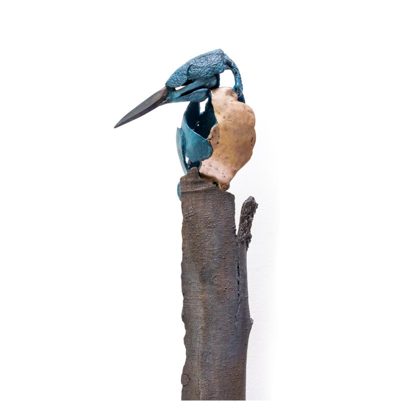 Foto 4 van IJsvogel 5 op schors