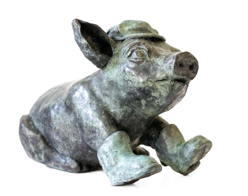 Hoofdfoto Zittend varken