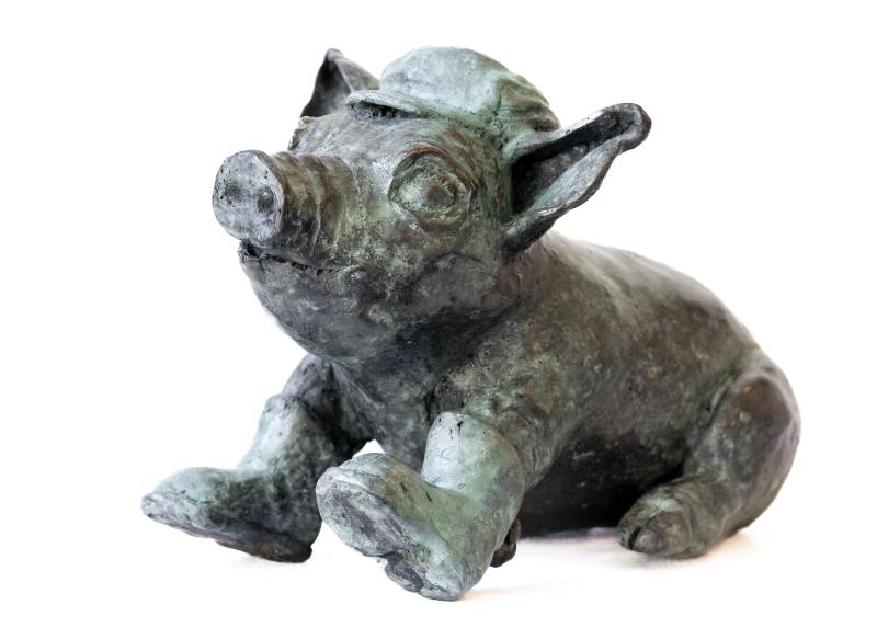 Foto 2 van Zittend varken