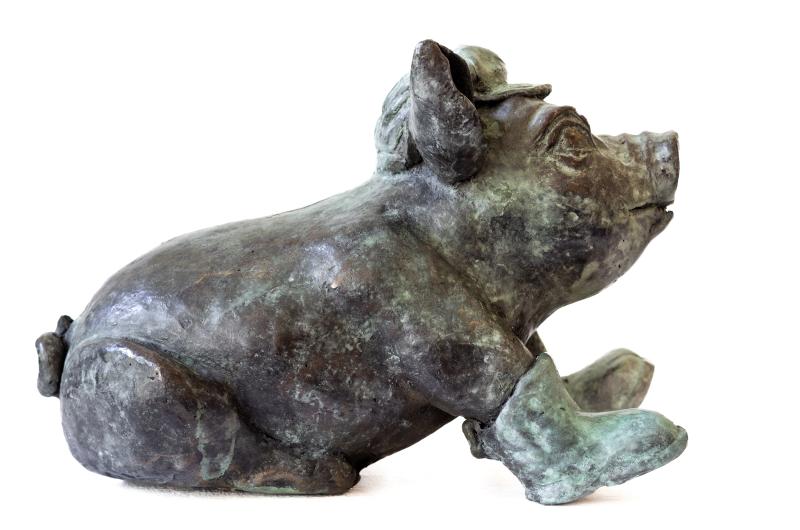 Foto 3 van Zittend varken