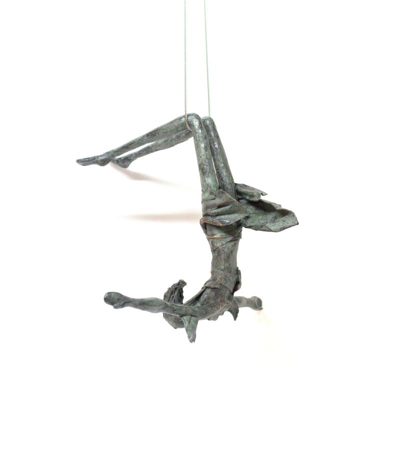 Hoofdfoto Acrobaat N.5095