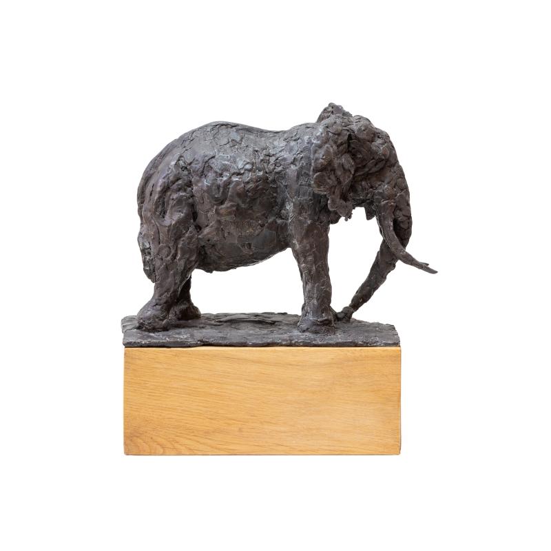 Hoofdfoto Olifant