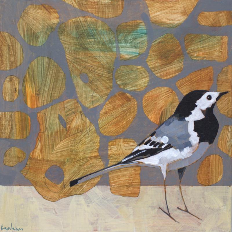 Hoofdfoto Pied Wagtail with Stones