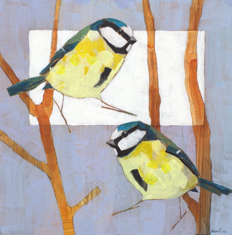 Hoofdfoto Two Blue Tits in Hawthorn Twigs