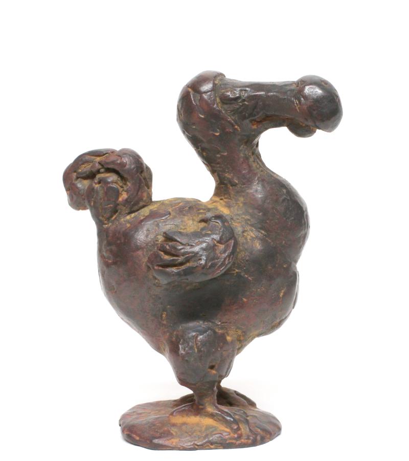 Hoofdfoto Dodo (klein)