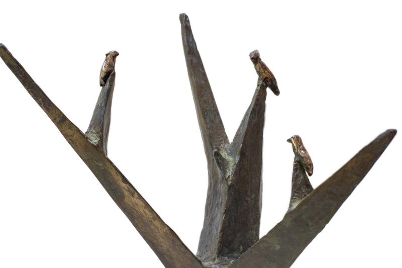 Foto 2 van Boom met vogels