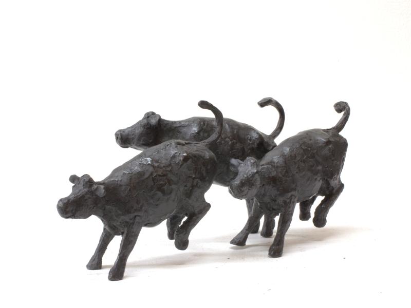 Hoofdfoto 3 kleine dansende koeien