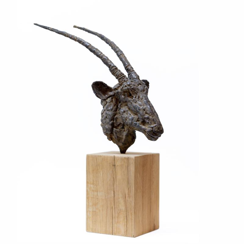 Hoofdfoto Oryx kop