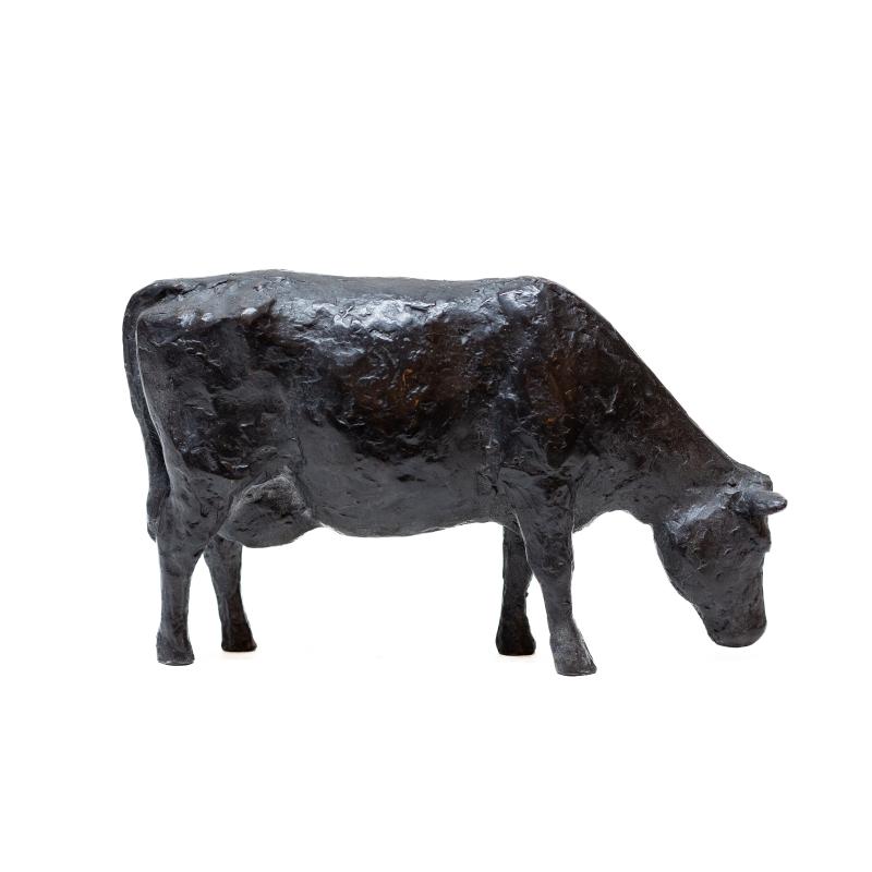 Hoofdfoto Koe grazend