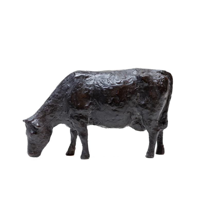 Foto 2 van Koe grazend