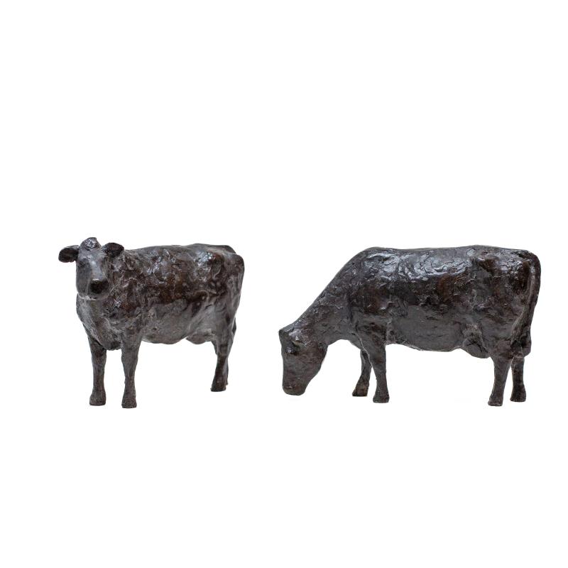 Foto 3 van Koe grazend