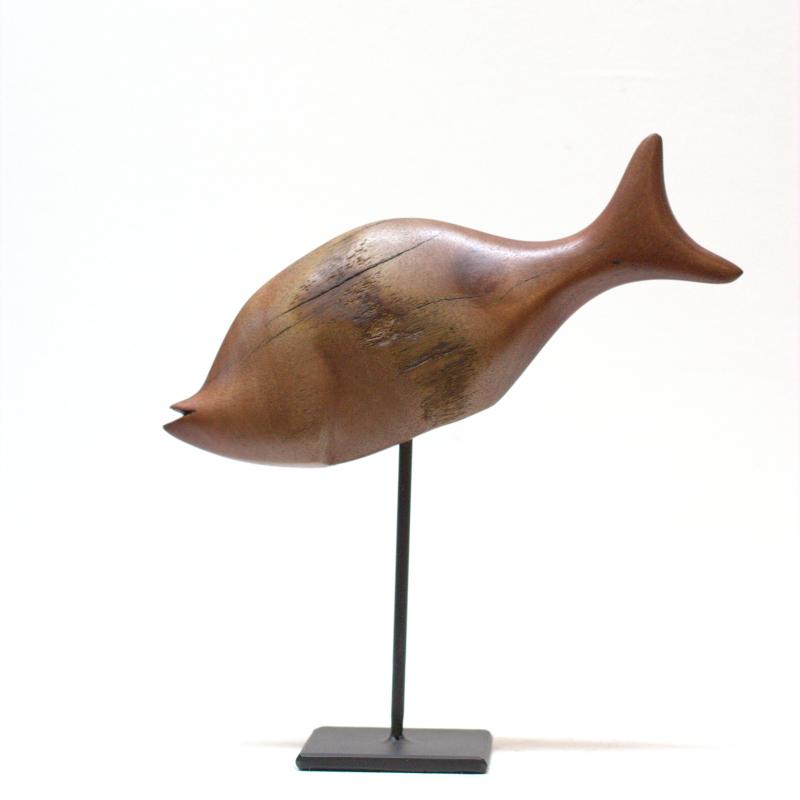 Hoofdfoto Fish (Ozoroa Reticulata)