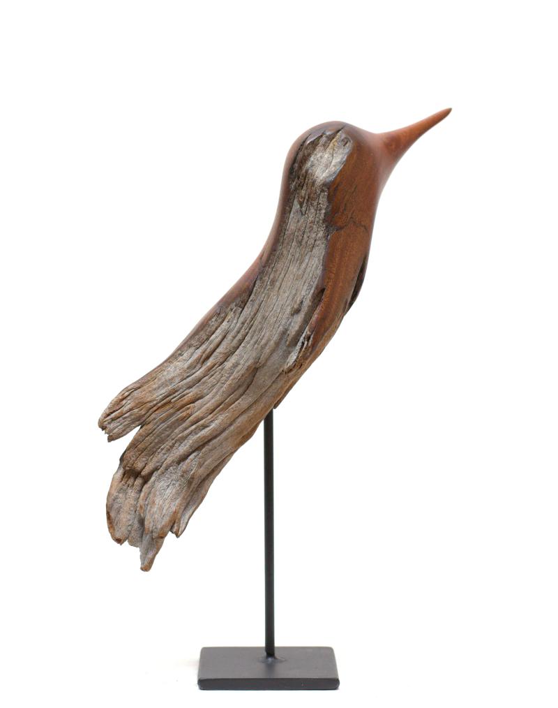 Hoofdfoto Bird (Ozoroa Reticulata)