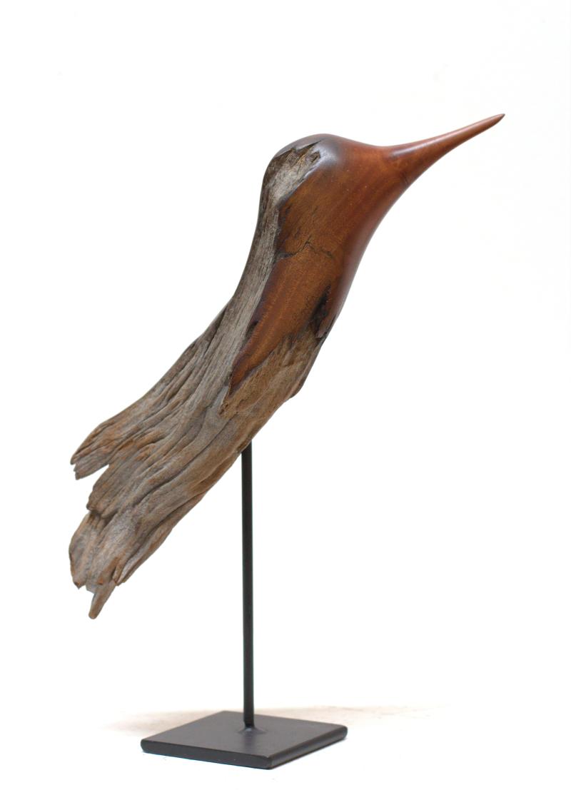 Foto 2 van Bird (Ozoroa Reticulata)