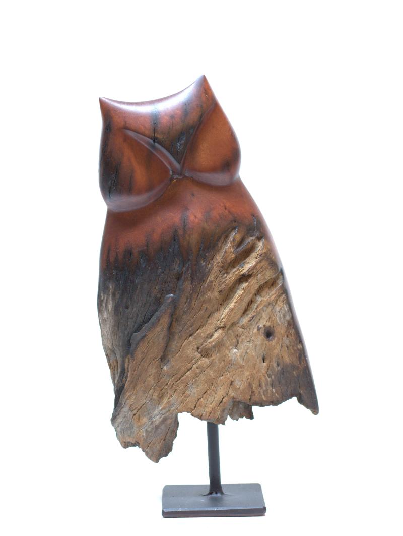 Hoofdfoto Owl (Ozoroa Reticulata)