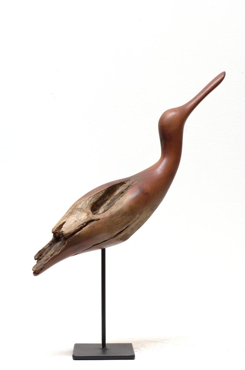 Hoofdfoto Bird (Ozoroa Reticulata)