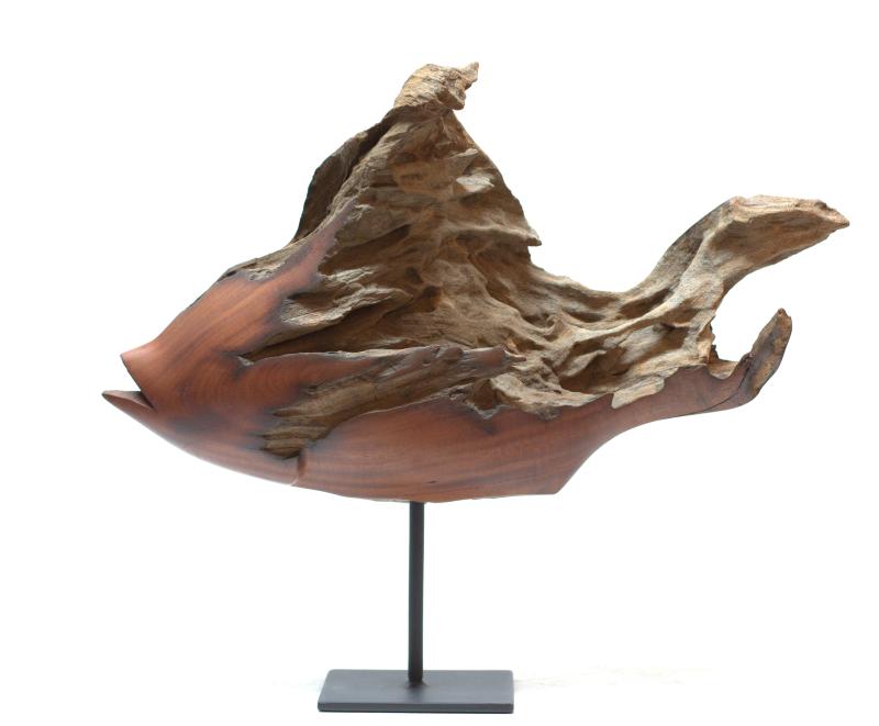 Hoofdfoto Fish (Ozoroa Reticulata)