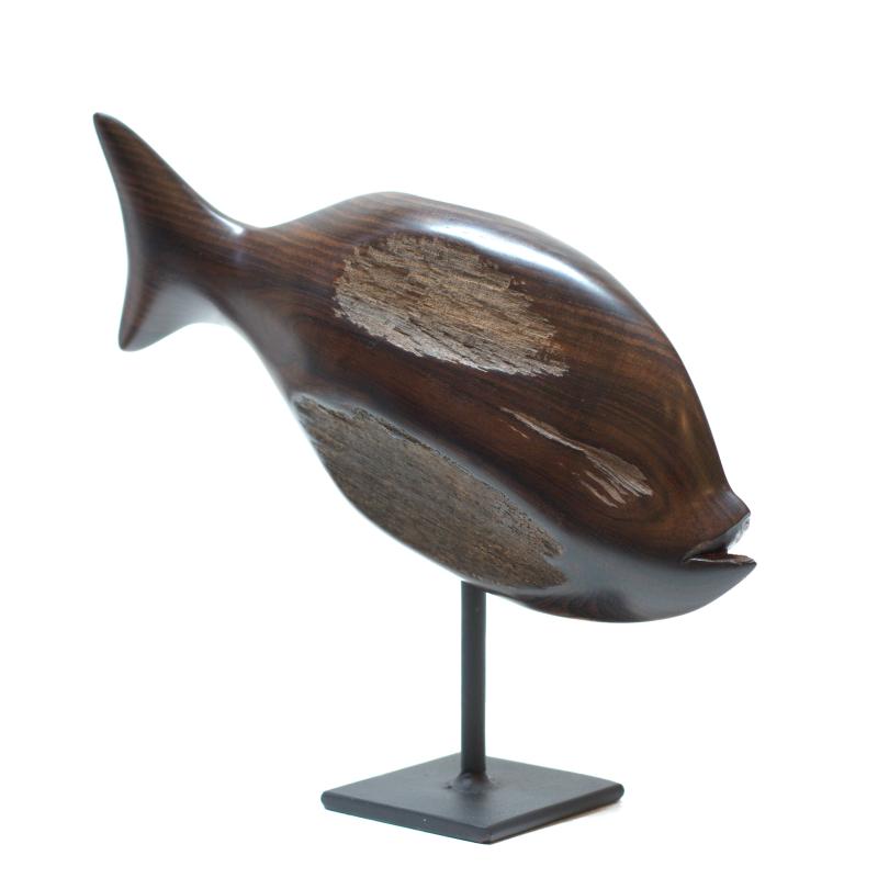 Hoofdfoto Fish (Colophospermum mopane)