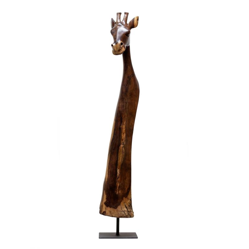 Hoofdfoto Giraffe (Combretum imberbe)