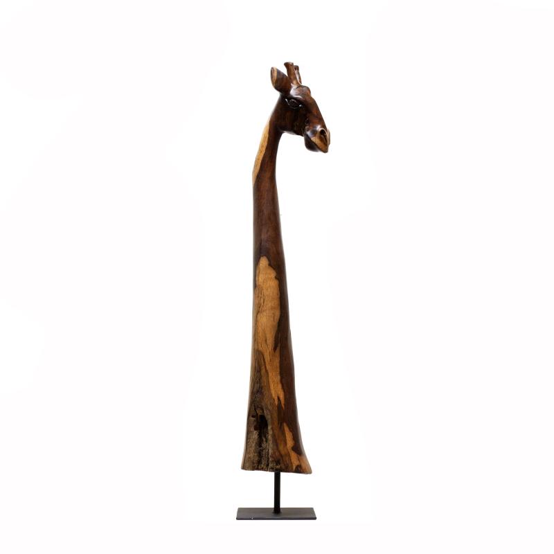 Foto 2 van Giraffe (Combretum imberbe)