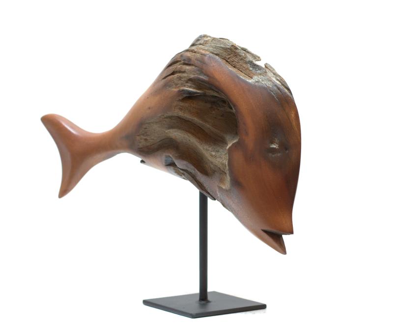 Hoofdfoto Fish (Ozoroa Reticulata)