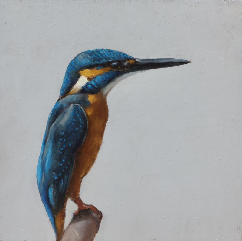 Hoofdfoto IJsvogel 1