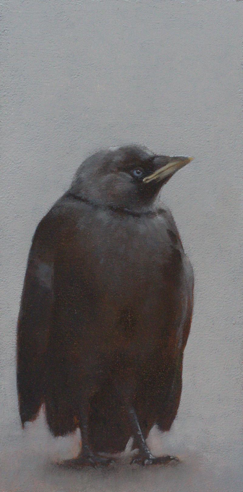 Hoofdfoto En ik doe een pinguïn na (jong kauwtje) (verkocht)