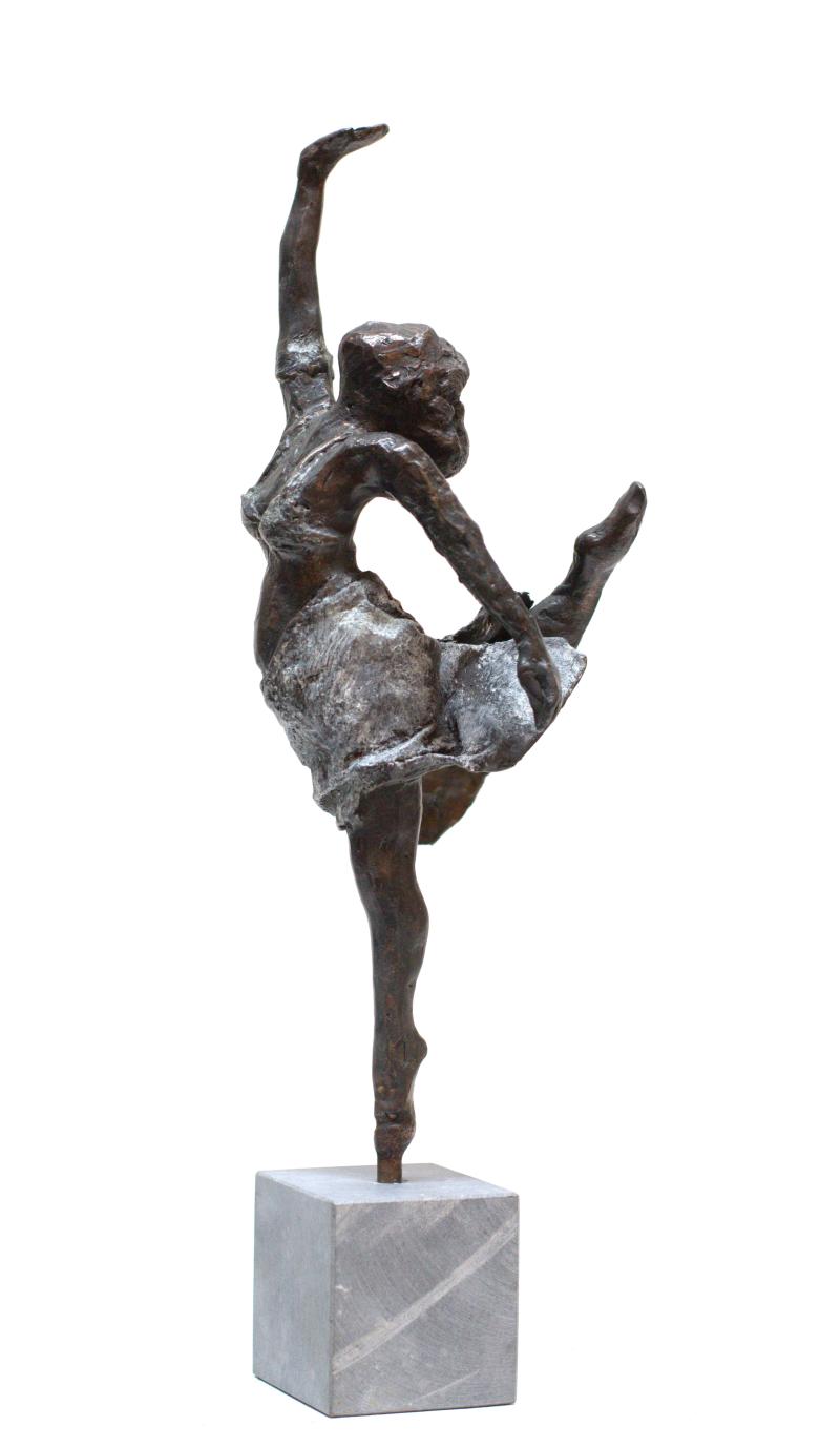 Hoofdfoto Danseres