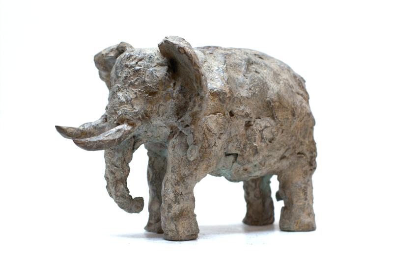 Hoofdfoto Olifant